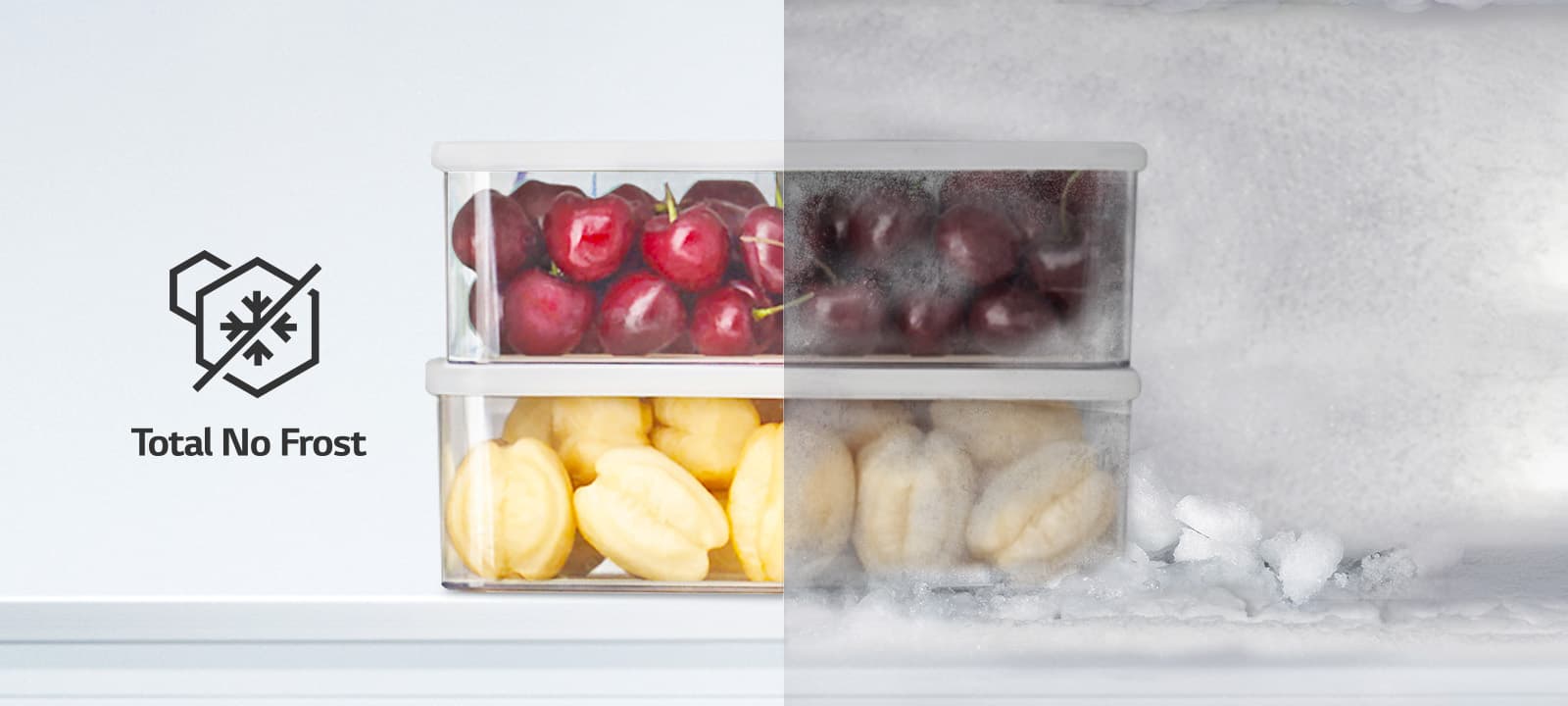 LG Total No Frost