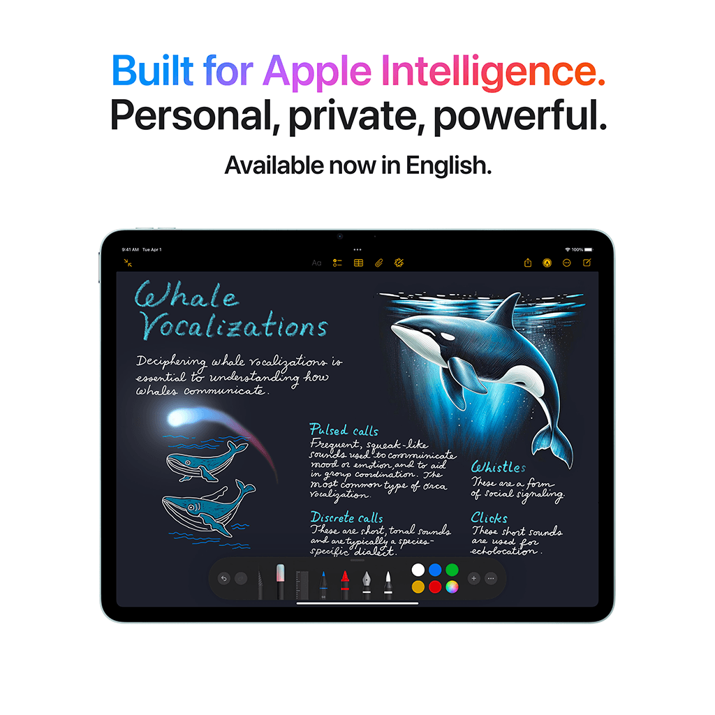iPad Air M3 11-inch Wifi-Cellular 256GB Space Gray